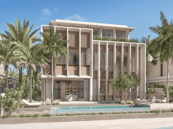 Exclusive | Tropical Mist | Limited Resale